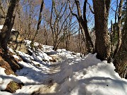 Sulle nevi del Monte Zucco (1232 m ) da S. Antonio Abbandonato (987 m) sui sent. 505-506 il 14 gennaio 2021 - FOTOGALLERY